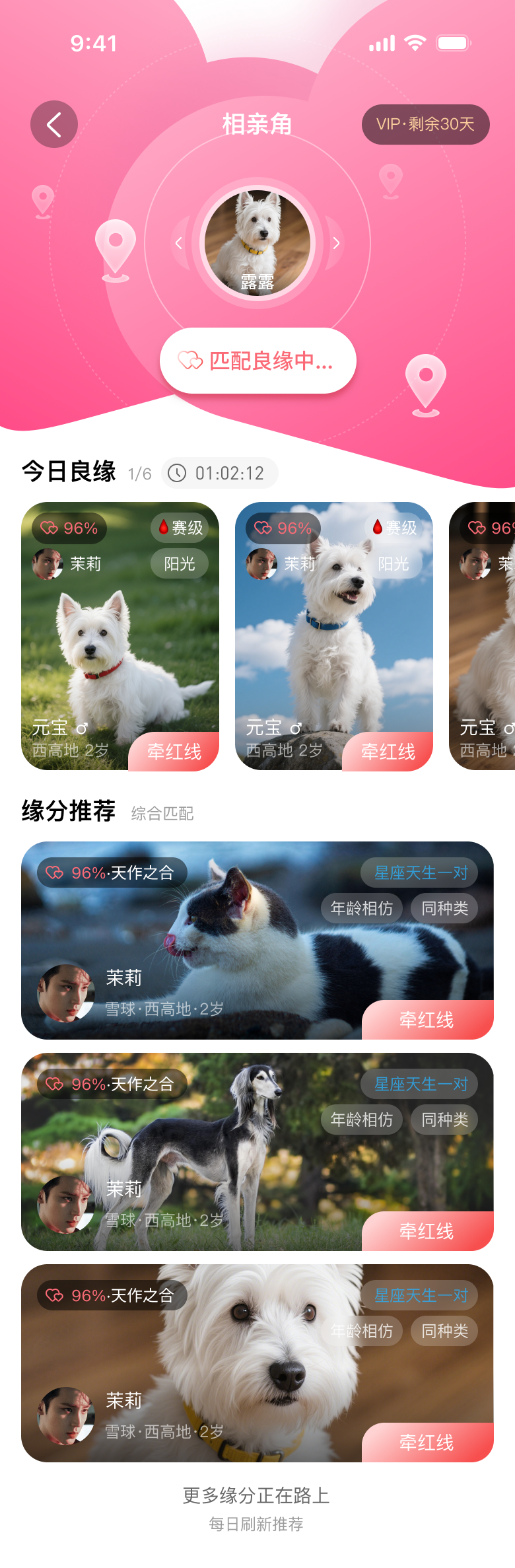 宠腻宠物相亲角界面